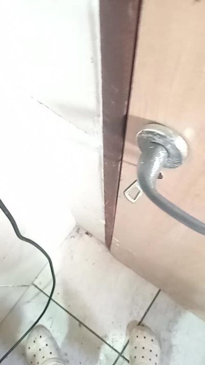 Perrodecall1 from Argentina