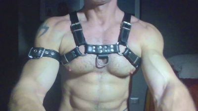 horny__pig from United States
