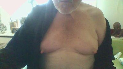 pinguin701 from Netherlands